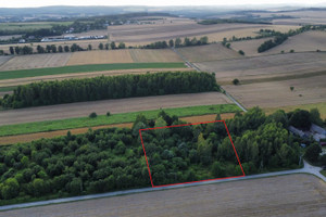 Działka na sprzedaż 3828m2 zawierciański Ogrodzieniec Giebło - zdjęcie 1