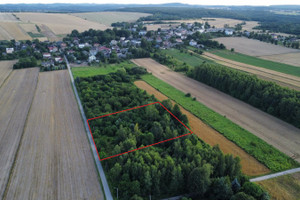 Działka na sprzedaż 3828m2 zawierciański Ogrodzieniec Giebło - zdjęcie 3