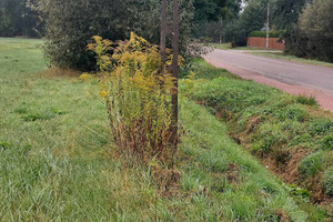 Działka na sprzedaż 10097m2 wołomiński Tłuszcz Postoliska - zdjęcie 2