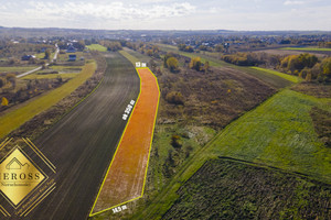 Działka na sprzedaż 4281m2 myszkowski Koziegłowy - zdjęcie 2