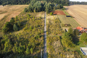 Działka na sprzedaż 1489m2 krakowski Skała Zamłynie - zdjęcie 2