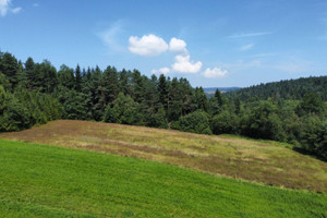 Działka na sprzedaż 7992m2 suski Jordanów - zdjęcie 3