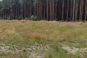 Działka na sprzedaż 1199m2 stalowowolski Pysznica Jastkowice Zaonie - zdjęcie 3