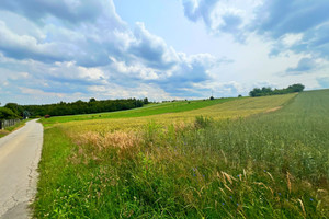 Działka na sprzedaż 6500m2 myszkowski Niegowa Antolka - zdjęcie 2