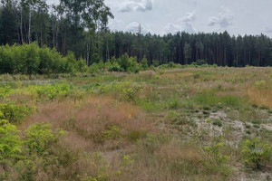 Działka na sprzedaż 1180m2 stalowowolski Pysznica Jastkowice Zaonie - zdjęcie 2