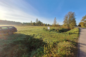 Działka na sprzedaż 5000m2 stalowowolski Bojanów Stany - zdjęcie 2