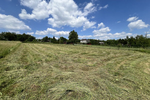 Działka na sprzedaż 1699m2 myszkowski Ziemniaczana - zdjęcie 3