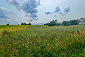 Działka na sprzedaż 6500m2 myszkowski Niegowa Antolka - zdjęcie 3