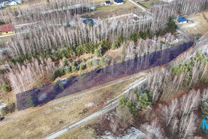 Działka na sprzedaż 3000m2 stalowowolski Pysznica Piaskowa - zdjęcie 1