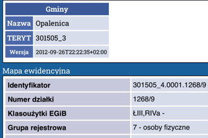 Działka na sprzedaż 7338m2 nowotomyski Opalenica Strumykowa - zdjęcie 1