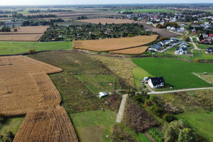 Działka na sprzedaż 7338m2 nowotomyski Opalenica Strumykowa - zdjęcie 3