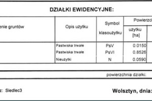 Działka na sprzedaż 24395m2 wolsztyński Siedlec Jażyniec - zdjęcie 3