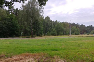 Działka na sprzedaż 3700m2 wolsztyński Wolsztyn Wola Dąbrowiecka - zdjęcie 3