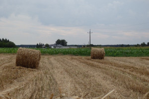 Działka na sprzedaż 793m2 grodziski Grodzisk Wielkopolski Zdrojowa - zdjęcie 2