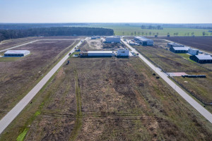 Działka na sprzedaż 3300m2 poznański Dopiewo Więckowice - zdjęcie 3