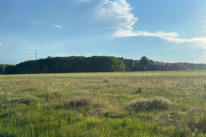 Działka na sprzedaż grodziski Rakoniewice Wioska - zdjęcie 3