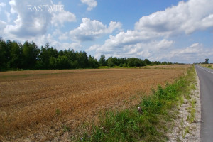 Działka na sprzedaż 5700m2 żyrardowski Radziejowice Krze Duże - zdjęcie 2