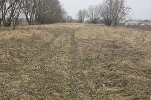 Działka na sprzedaż Konin Pociejewo - zdjęcie 1