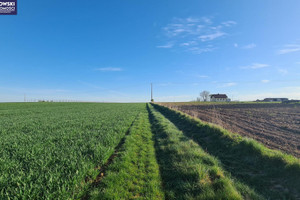 Działka na sprzedaż 1400m2 zamojski Zamość Sitaniec - zdjęcie 2