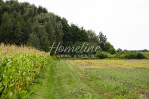 Działka na sprzedaż 1030m2 trzebnicki Prusice - zdjęcie 1