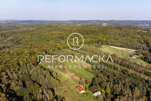 Działka na sprzedaż 2336m2 przemyski Dubiecko Kosztowa - zdjęcie 2