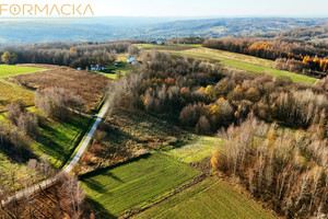 Działka na sprzedaż 1800m2 rzeszowski Chmielnik - zdjęcie 2