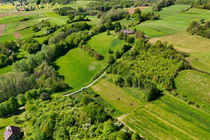 Działka na sprzedaż 1912m2 strzyżowski Frysztak Gogołów - zdjęcie 3