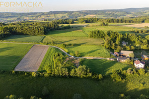 Działka na sprzedaż 1250m2 ropczycko-sędziszowski Wielopole Skrzyńskie Brzeziny - zdjęcie 3