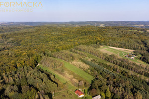 Działka na sprzedaż 2336m2 przemyski Dubiecko Kosztowa - zdjęcie 1