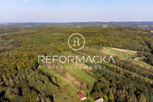 Działka na sprzedaż 2336m2 przemyski Dubiecko Kosztowa - zdjęcie 1