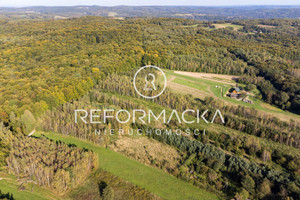 Działka na sprzedaż 2336m2 przemyski Dubiecko Kosztowa - zdjęcie 3