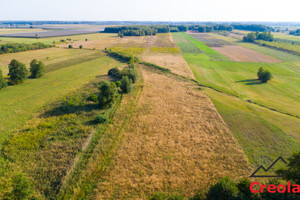 Działka na sprzedaż grójecki Chynów Adamów Drwalewski - zdjęcie 3