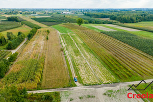 Działka na sprzedaż 1000m2 grójecki Chynów Drwalewice - zdjęcie 2