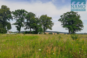 Działka na sprzedaż 3746m2 gdański Trąbki Wielkie Gołębiewo Wielkie Wrzosowa - zdjęcie 2