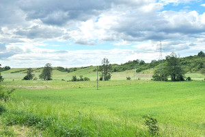 Działka na sprzedaż czarnkowsko-trzcianecki Trzcianka Radolin Radolin - zdjęcie 2