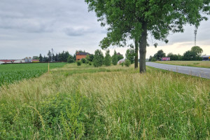 Działka na sprzedaż 2372m2 kaliski Żelazków Skarszew - zdjęcie 3