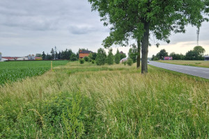 Działka na sprzedaż 2372m2 kaliski Żelazków Skarszew - zdjęcie 1