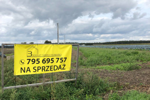 Działka na sprzedaż 1060m2 pleszewski Gołuchów Kuchary - zdjęcie 3