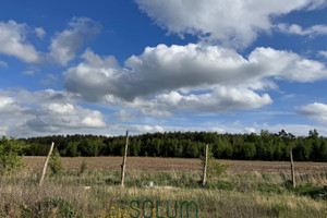 Dom na sprzedaż 121m2 leszczyński Lipno Wyciążkowo - zdjęcie 3