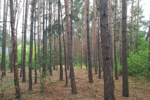 Działka na sprzedaż garwoliński Wilga Osiedle Wilga - zdjęcie 3