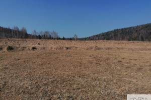 Działka na sprzedaż 800m2 myślenicki Tokarnia - zdjęcie 2