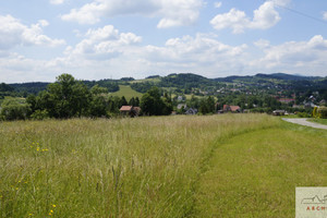 Działka na sprzedaż 1100m2 suski Jordanów Łętownia - zdjęcie 2