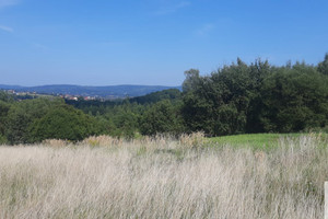 Działka na sprzedaż 4581m2 myślenicki Sułkowice Harbutowice - zdjęcie 3