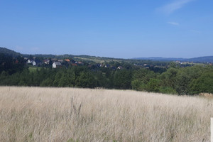 Działka na sprzedaż 4581m2 myślenicki Sułkowice Harbutowice - zdjęcie 1