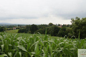 Działka na sprzedaż wielicki Wieliczka Gorzków - zdjęcie 2