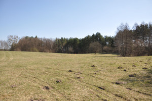 Działka na sprzedaż 6860m2 szczycieński Jedwabno Olsztyńska - zdjęcie 2