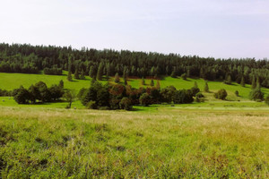 Działka na sprzedaż 2342m2 kłodzki Stronie Śląskie - zdjęcie 1