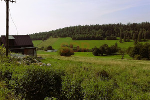 Działka na sprzedaż 2342m2 kłodzki Stronie Śląskie - zdjęcie 2