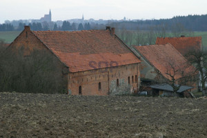 Komercyjne na sprzedaż 33748m2 wołowski Wińsko Rogów Wołowski - zdjęcie 3