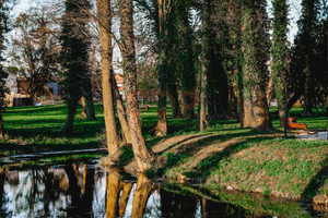 Działka na sprzedaż 10000m2 wrocławski Siechnice Radwanice Katarzyńska - zdjęcie 2